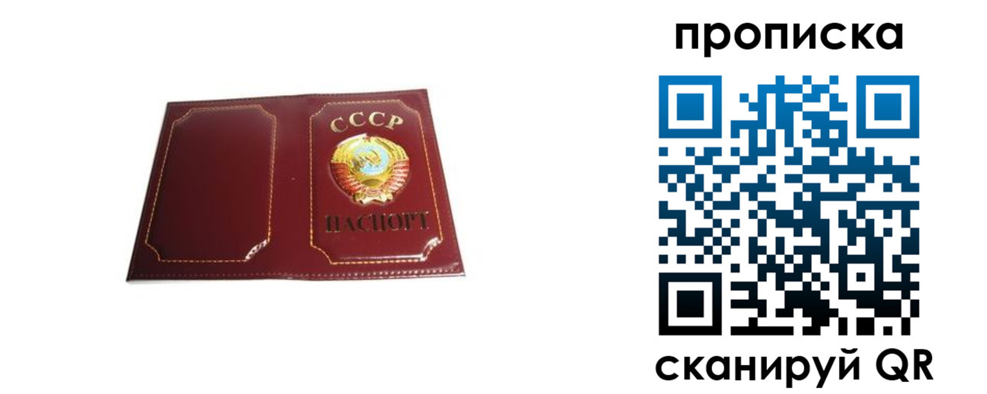 прописка гарантия в Черногорске